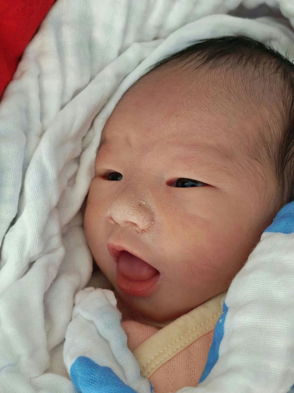 🍒 我家”仔仔“来喽